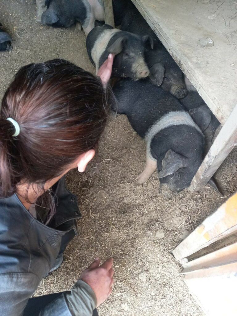 visite de la ferme de Castel Pouzouilh